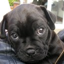 shelli moore - @sm100stables - Twitter