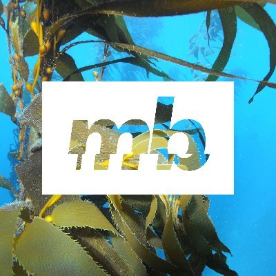 The MBCRC aims to transform Australia's emerging marine bioproducts sector into a globally competitive industry.