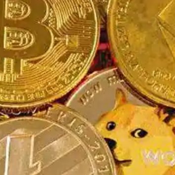 SwingDoggo's profile picture. Crypto Trader. #BTC #Bitcoin #ADA #Cardano