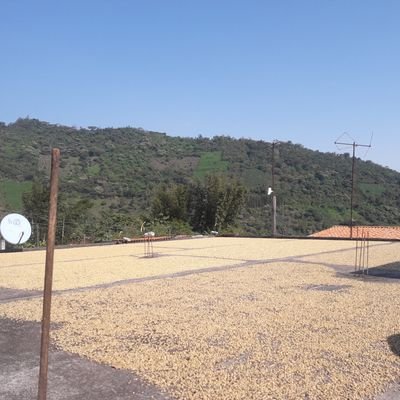 DesionPoli's profile picture. 