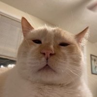 Eric Heisig (@eheisig) 's Twitter Profile