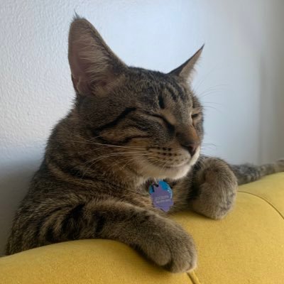 MorganGBamford's profile picture. 