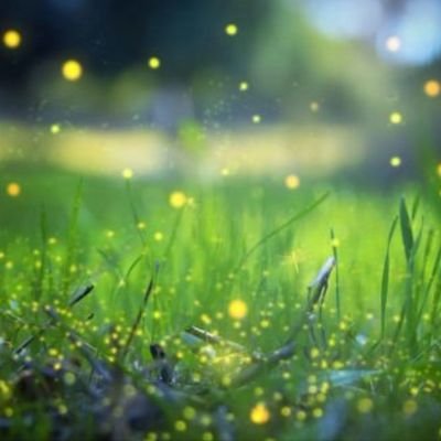 Yamatonohi's profile picture. 瑞穂の國  大和(ヤー・ウマト)に仇なす敵を、ハッケ(撃て)ヨイ(やっつけろ)ノコッタ(打ち破れ)！　御先祖の祖霊坐すこの山河　　侍の意気で！護り抜け！