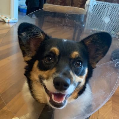 TurboMalder's profile picture. 