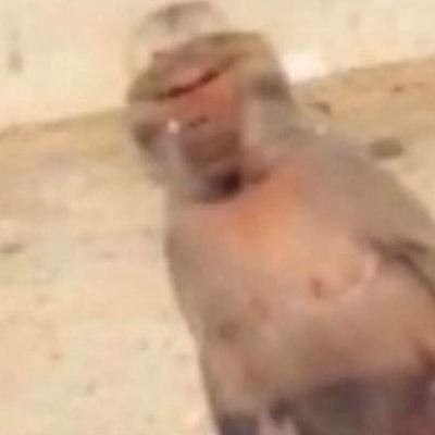 y1z46's profile picture. 