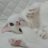 きみどり💚ちびザウルス2y1mとしっぽな🐈のアイコン