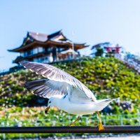 あ〜たそ (@uh55546289) Twitter profile photo