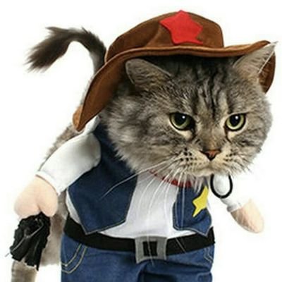 fYQ96NFjsKhYlLg's profile picture. 