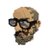 dm_pollack's profile image