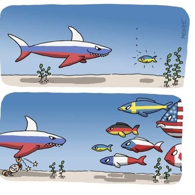 JohnVdep's profile picture. 