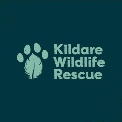 WildlifeKildare Profile Picture