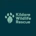 Kildare Wildlife Rescue (@wildlifekildare) Twitter profile photo Kildare Wildlife Rescue (@wildlifekildare) Twitter profile photo