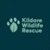 Kildare Wildlife Rescue (@WildlifeKildare) Twitter profile photo