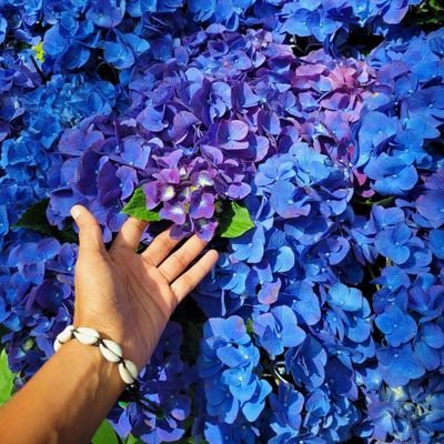 anadeveoci's profile picture. No introduction needed, I'm just me CONSCIOUS