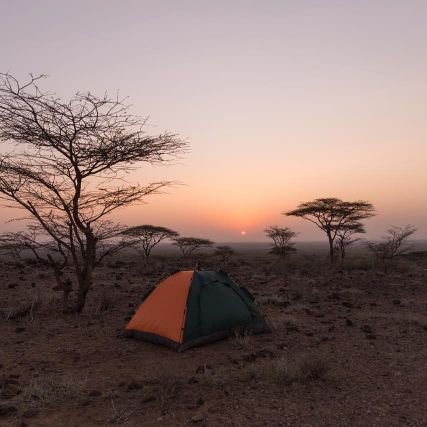 Coltieno's profile picture. Climate Change and Development