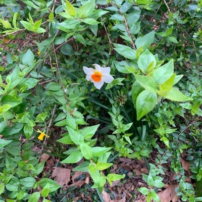 LisePaf's profile picture. 