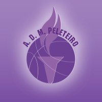Baloncesto Peleteiro (@bpeleteiro) 's Twitter Profile