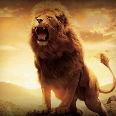 ashish34686's profile picture. Too cool to care, too lazy to prove it.