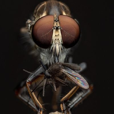 prabuguna13's profile picture. 