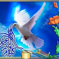 مصطفي محمد (@mstfymh44496431) 's Twitter Profile
