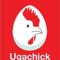 Ugachick Poultry Breeders™ (@ugachicksupa) 's Twitter Profile