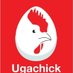 Ugachick Poultry Breeders™ (@UgachickSupa) Twitter profile photo