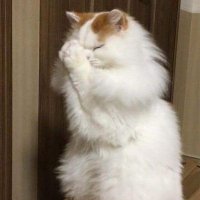 BBBB•_• (@supernova_bbb) 's Twitter Profile