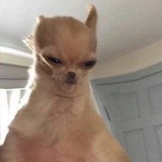 Vxzqqq's profile picture. 19 | VALORANT player for  |