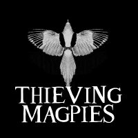 Thieving Magpies(@cumbriamagpies) 's Twitter Profile Photo
