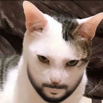 labora_7 Profile Picture