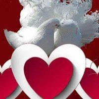 عباس بن فرناس (@basbnfrnas11) 's Twitter Profile