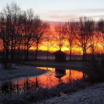 Koenuitbrabant's profile picture. 