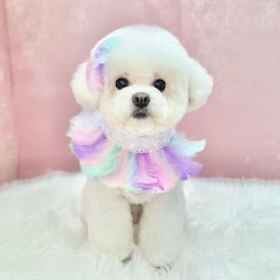 hjcxcjh's profile picture. 