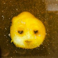 さはら (@empty_kitchen) 's Twitter Profile