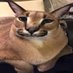 Jona749than (@jona749than) Twitter profile photo Jona749than (@jona749than) Twitter profile photo