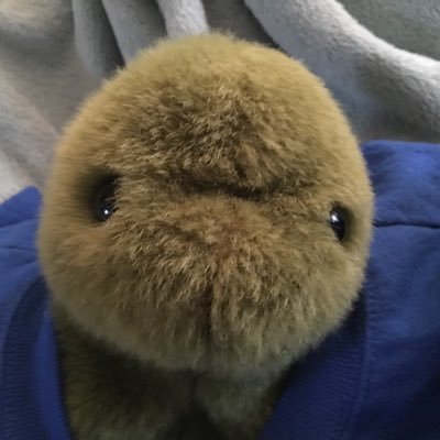 TurtlesMom1 Profile Picture