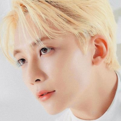 𝐟𝐥𝐮𝐟𝐟𝐲 𝐩𝐮𝐟𝐟 · 세븐틴 정한 ˖◛⁺˖ request DM