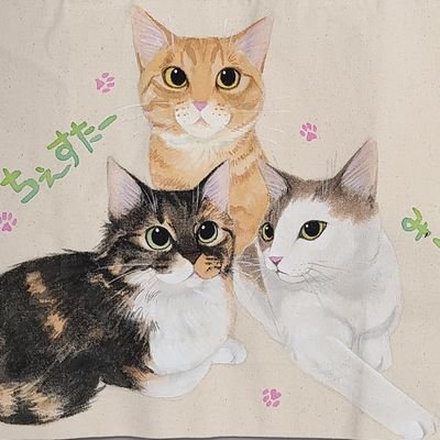 シフォン【ジャンル問わずとにかく歌が大好き🥰💕】さんのプロフィール画像