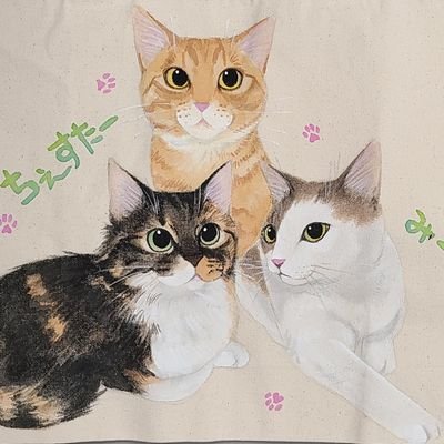 猫😺と走裕介さん、小田純平さん、寺本圭佑さんが大好き！みぃたん11歳♂、のあちゃん6歳♀、チェスター3歳♂。孫ちゃん2人もサポート中🤭ふくちゃん8歳♂はH29.2.21に、たぬ12歳♂はR3.6.30に虹の橋を渡りました🌈ブログは主に2021年2月に告知された早期乳癌の備忘録として不定期更新します😀