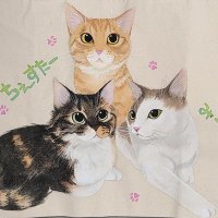 シフォン【猫と演歌・懐メロ（昭和20年代前後）・歌謡曲が大好き🥰💕】(@sifonn_) 's Twitter Profile Photo