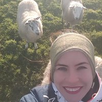 A & S Nightingale Free Range Farm(@StephanieNight6) 's Twitter Profile Photo