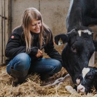 Katrina Joy Photography (@katrinajoyphoto) 's Twitter Profile Photo