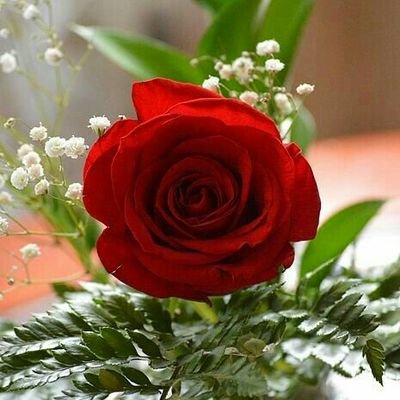 birthday 1 🎂 st January 🎂 pooja goswami 👈 👉Aacharya Jagdish Chandra BOS college se padhai ki---- 👉 sorry no Dm👈 👉@kavitaj814👈