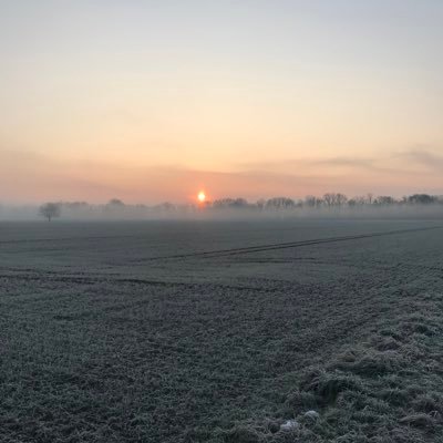 weilenbaum's profile picture. 