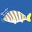 あきねこ@fish so goodのアイコン