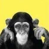Leckerbissen (@leckerbisse) 's Twitter Profile Photo Leckerbissen (@leckerbisse) 's Twitter Profile Photo