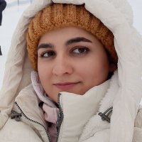 Faezeh Rahimi(@Faezehrahimimd1) 's Twitter Profile Photo