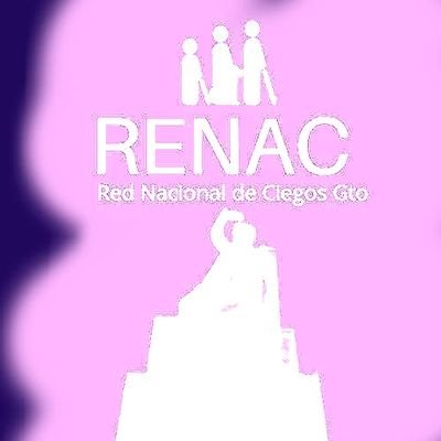 inclusión con equidad para las personas con discapacidad visual dentro del mundo laboral,, deportivo, educativo, turístico y social