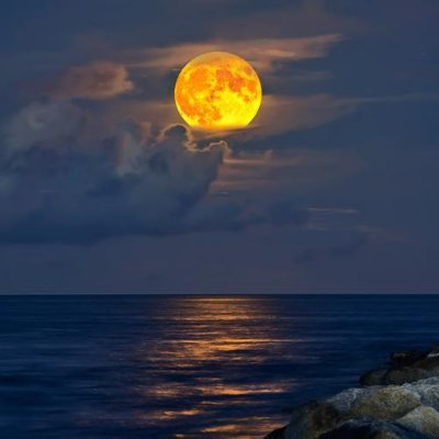 996565's profile picture. 