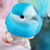 じゃんぬ (@janne_kreuz) 's Twitter Profile Photo じゃんぬ (@janne_kreuz) 's Twitter Profile Photo